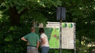 Deidesheim: Noch sind Parkschilder auf Mühltalparkplatz im Pfälzerwald verhüllt