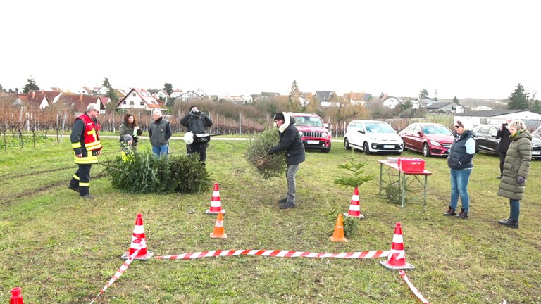 Weihnachtsbaumwerfen