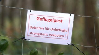 Ein Schild an einem Zaun weist auf den Ausbruch der Geflügelpest hin.