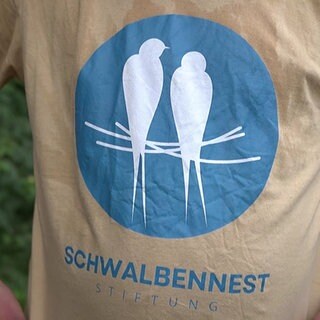 Schwalbennest Stiftung