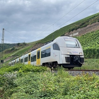 Ein Regionalzug fährt durch Weinberge am Mittelrhein in der Nähe von Boppard