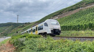 Ein Regionalzug fährt durch Weinberge am Mittelrhein in der Nähe von Boppard