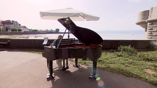 Musiker Lajos Sitas spielt auf dem Flügel am See in Langenargen.