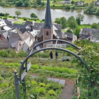 Blick auf Ürzig und die Mosel