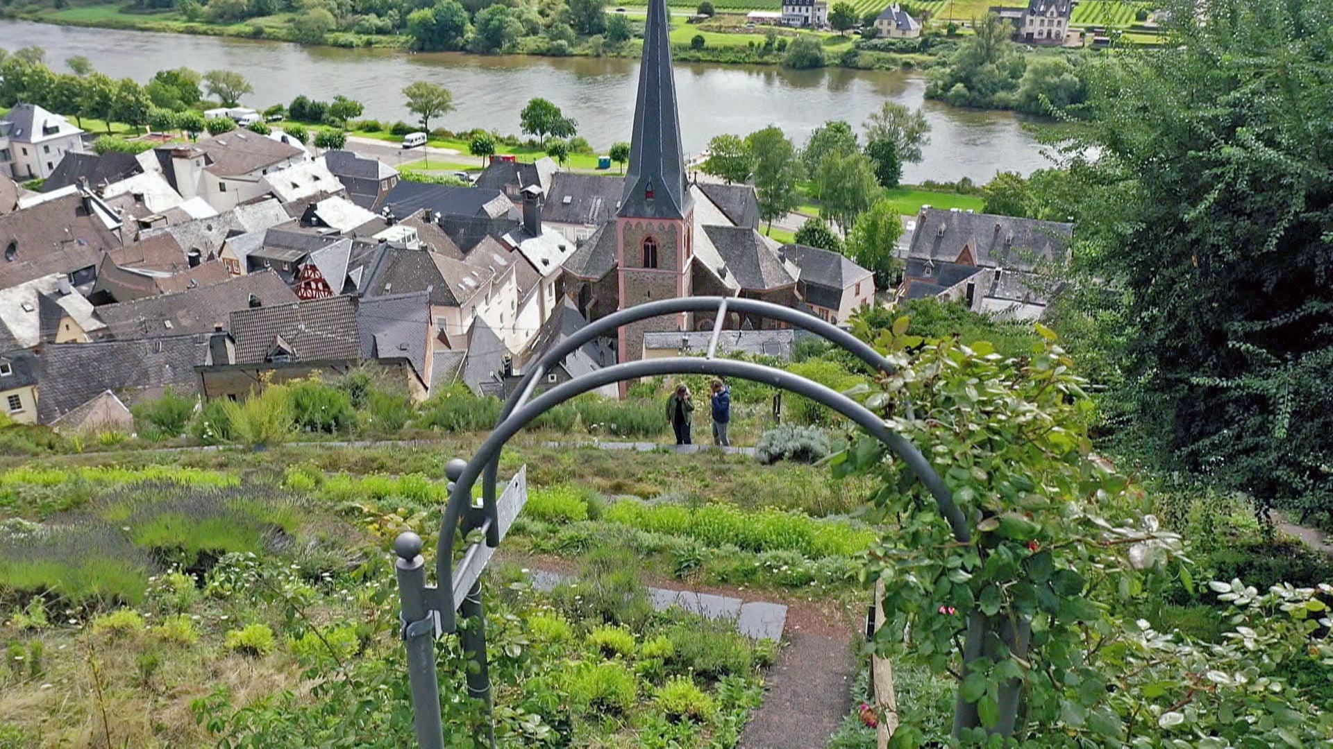 Unser Ausflugstipp: Wandern in Ürzig an der Mosel