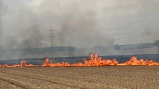 Feuer in Heilbronn: Wieder kam es zu zahlreichen Feldbränden 