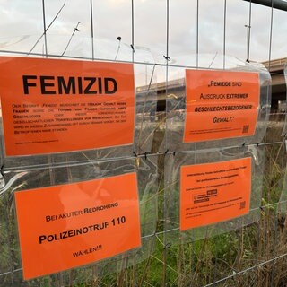 Tag gegen Gewalt an Frauen Plakataktion in LU