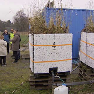 In den Gewässern in der Region sammeln sich immer mehr Rückstände von Medikamenten oder anderen Spurenstoffen an, auch im Grundwasser. Wie man solche Stoffe herausfiltern kann, erforscht ein Team der Uni Kaiserslautern an einer Versuchsanlage auf dem Klärwerk Landstuhl.
