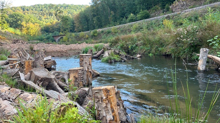 Naturschutzmaßnahmen im Moosalbtal.
