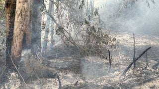 Zwei Brände riefen am Donnerstag die Feuerwehr nach Quirnbach. Teilweise kämpften die Einsatzkräfte in einer Steillage gegen das Feuer.