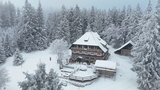 Gäste in einer Skibar genießen Après-Ski-Stimmung, lachen und stoßen miteinander an, während im Hintergrund die gemütliche Hüttengaststube zu sehen ist.