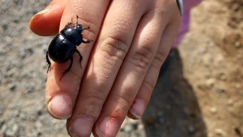 Waldkindergarten Buntsprechte in Walldürn im Neckar-Odenwald-Kreis