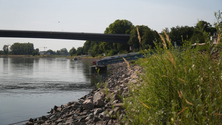 Schiffsanleger in Speyer liegen auf dem Trockenen