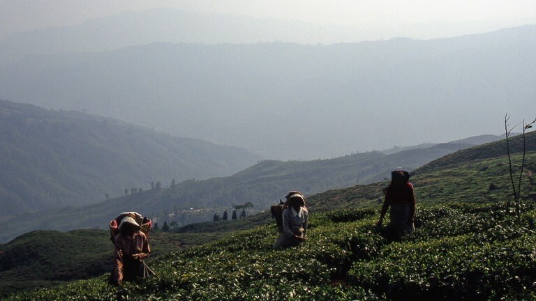 Darjeeling