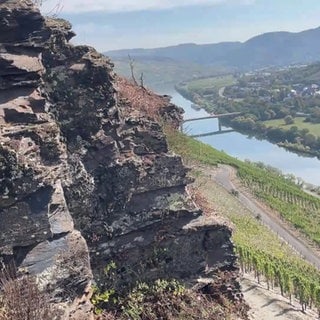 Steinhang