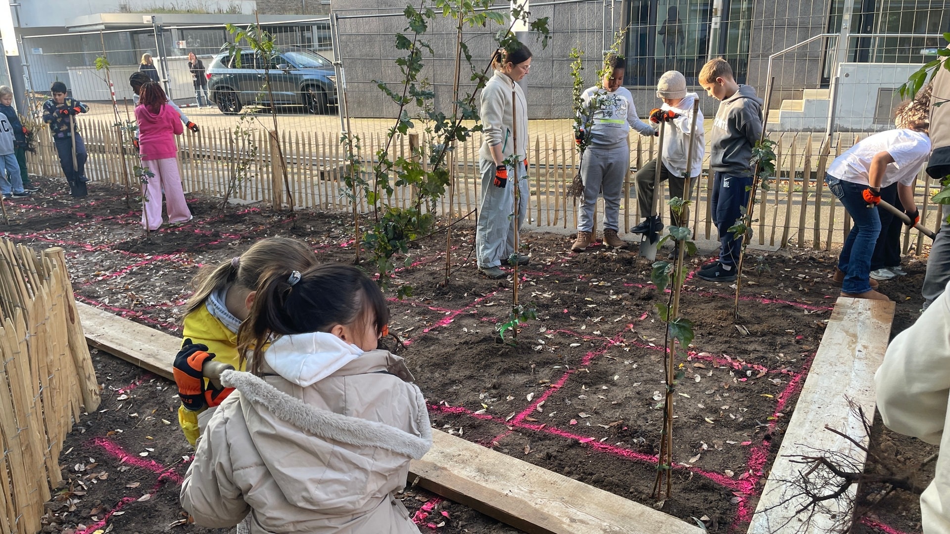 Große Stadt, kleiner Wald: Warum Kinder Bäume in Häuserschluchten pflanzen