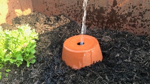 Mit dem unterirdischen Wasserreservoir, der Olla, braucht man weniger Wasser als beim Gießen der kompletten Oberfläche.