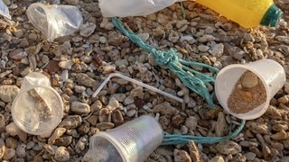 Plastikbecher liegen am Ufer eines Flusses.