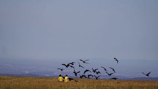 Die 30 Waldrappe des Waldrappteams haben die erste Etappe ihrer Reise vom Bodensee ins spanische Winterquartier erfolgreich zurückgelegt. Vom Flugplatz Binningen im Kreis Konstanz flogen sie nach Hütten-Hotzenwald im Kreis Waldshut.