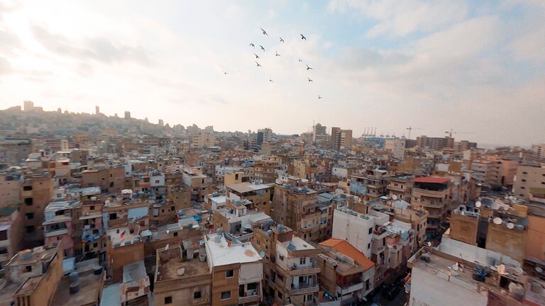Taubenschwarm dreht seine Kreise über Beirut 