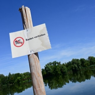 Auf einem Schild an einem Gewässer steht "Baden verboten". Düsseldorf will ein Badeverbot im Rhein erlassen, in Rheinhessen ist das bislang nicht geplant
